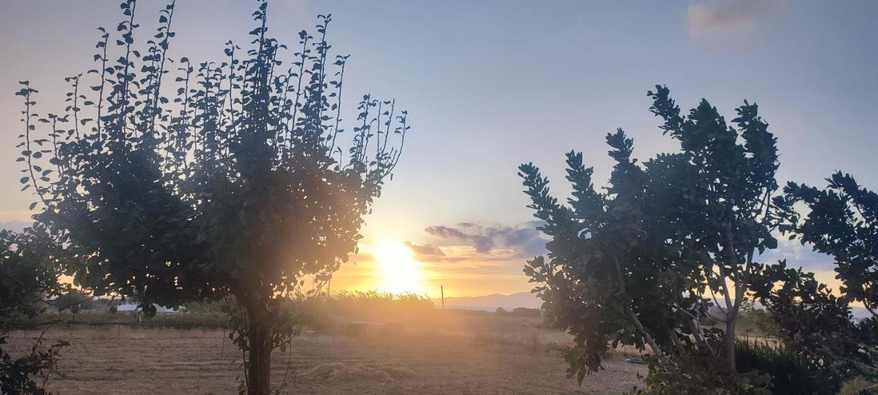 מיקרי ויגלה Joanna Apartments מראה חיצוני תמונה